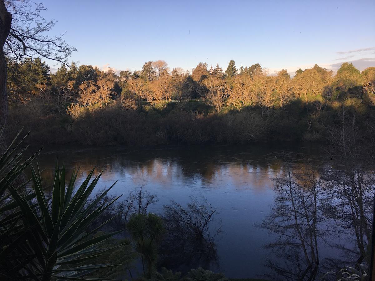 On The River Tamahere Luaran gambar